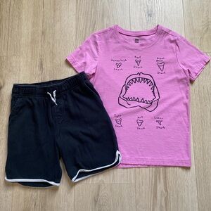 Tea Collection set size 6